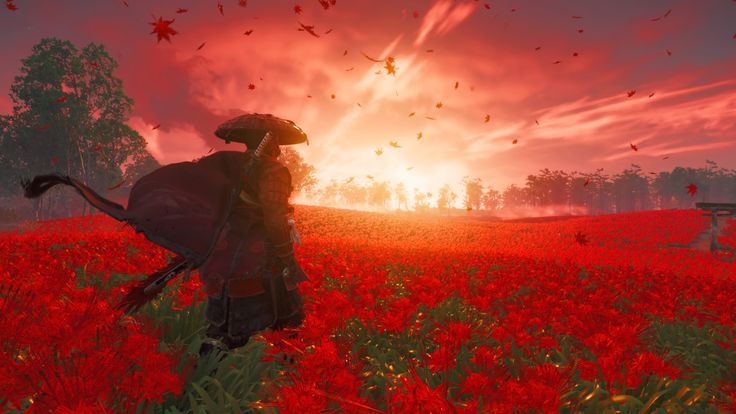 Ghost of Tsushima Director's Cut - Key Steam