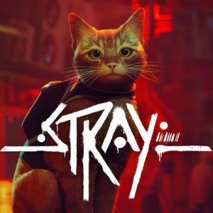 Stray - Key Steam