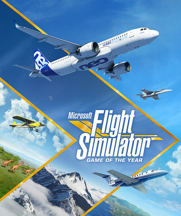 Microsoft Flight Simulator (2020) - Steam key