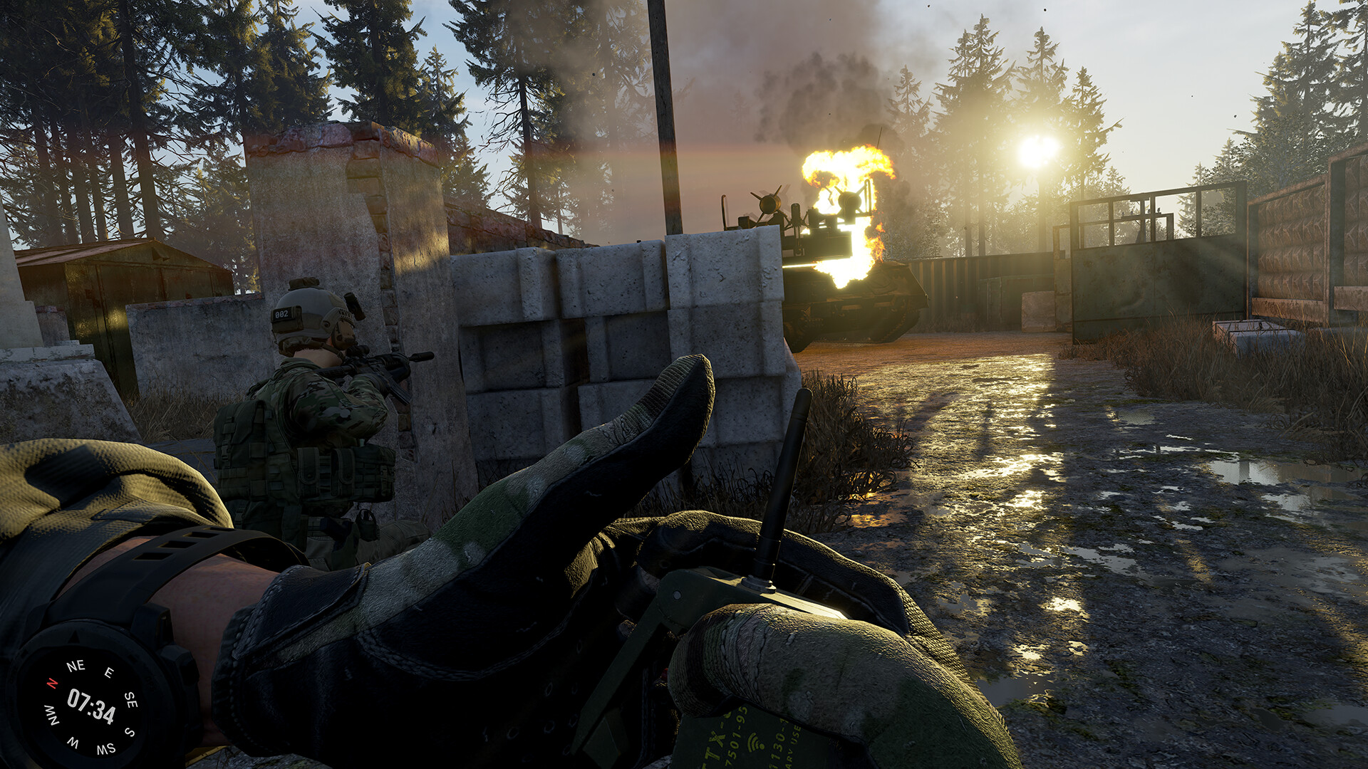 GROUND BRANCH - Steam key