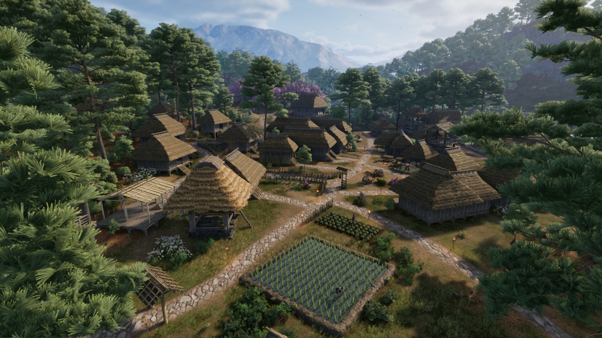 Sengoku Dynasty - Steam key