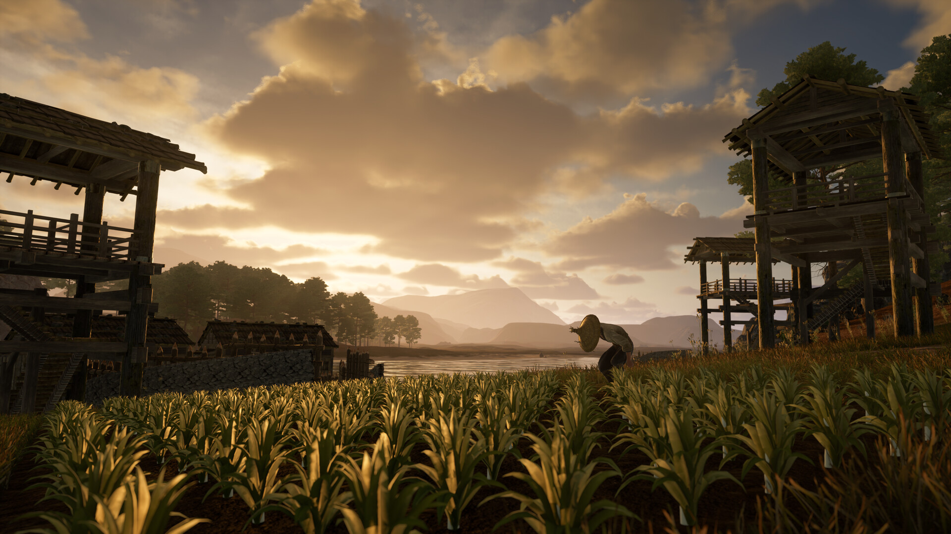 Sengoku Dynasty - Steam key