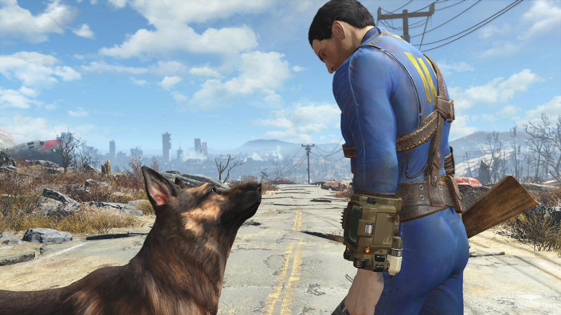 Fallout 4- Steam key