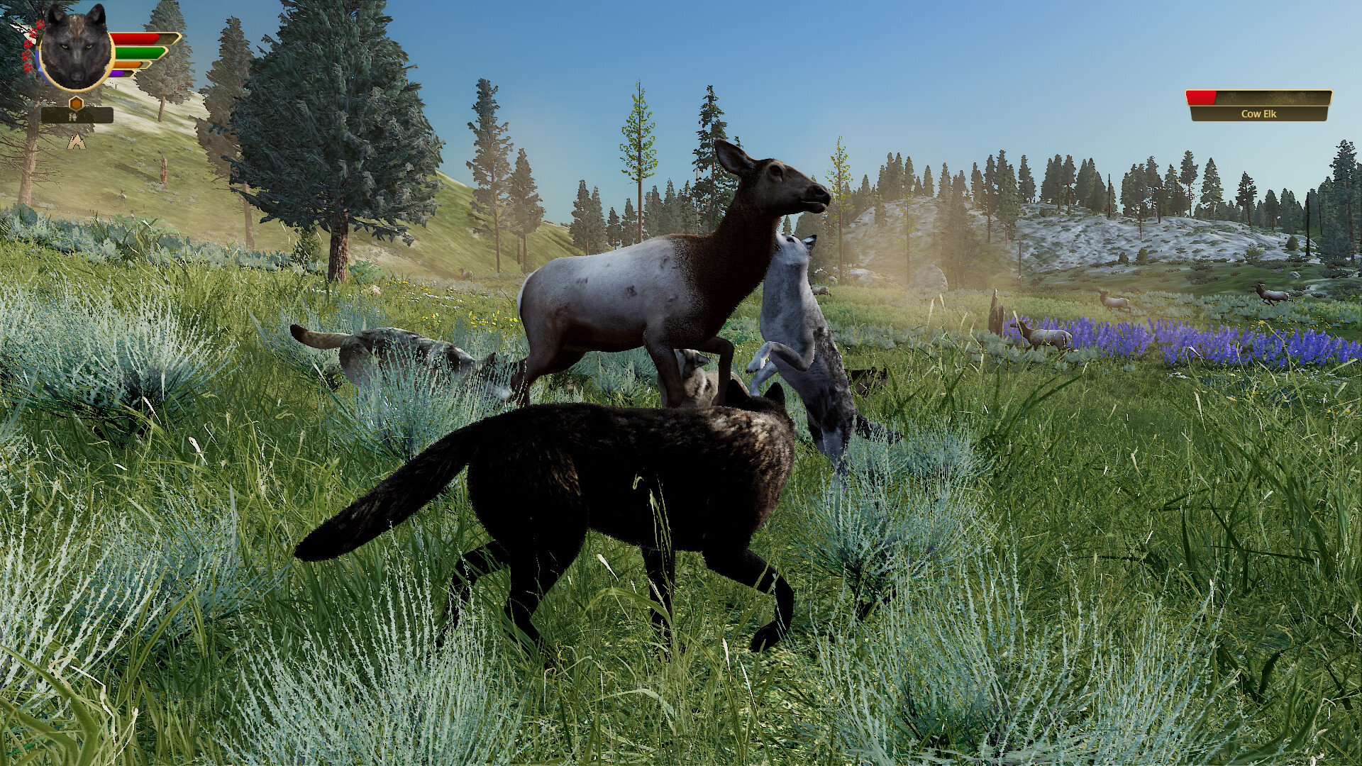 WolfQuest: Anniversary Edition - Key Steam